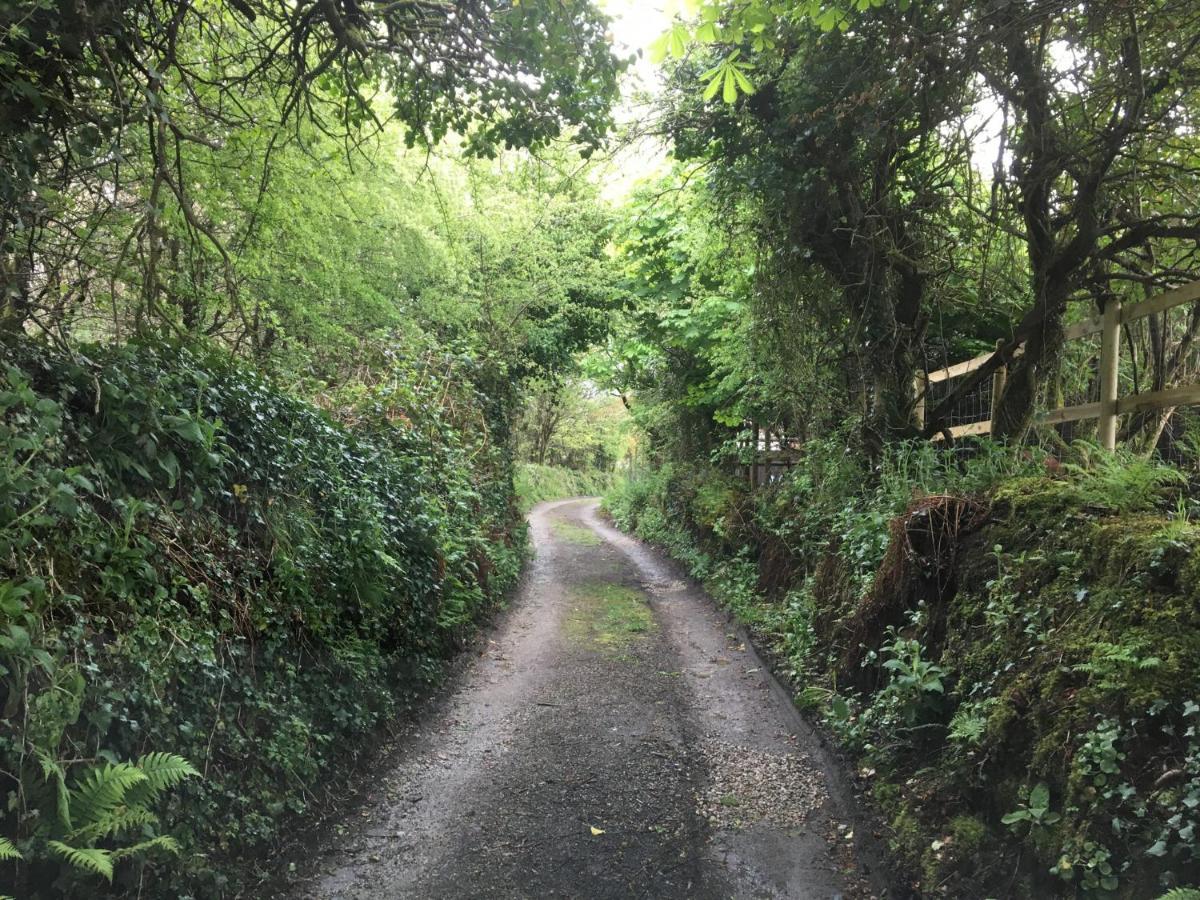 Higher Trenear Farm B&B Helston Dış mekan fotoğraf