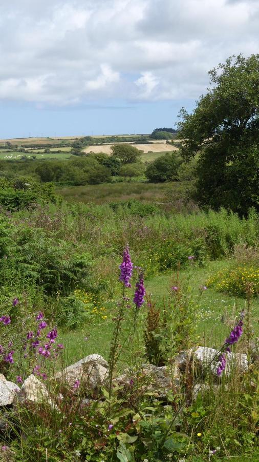 Higher Trenear Farm B&B Helston Dış mekan fotoğraf